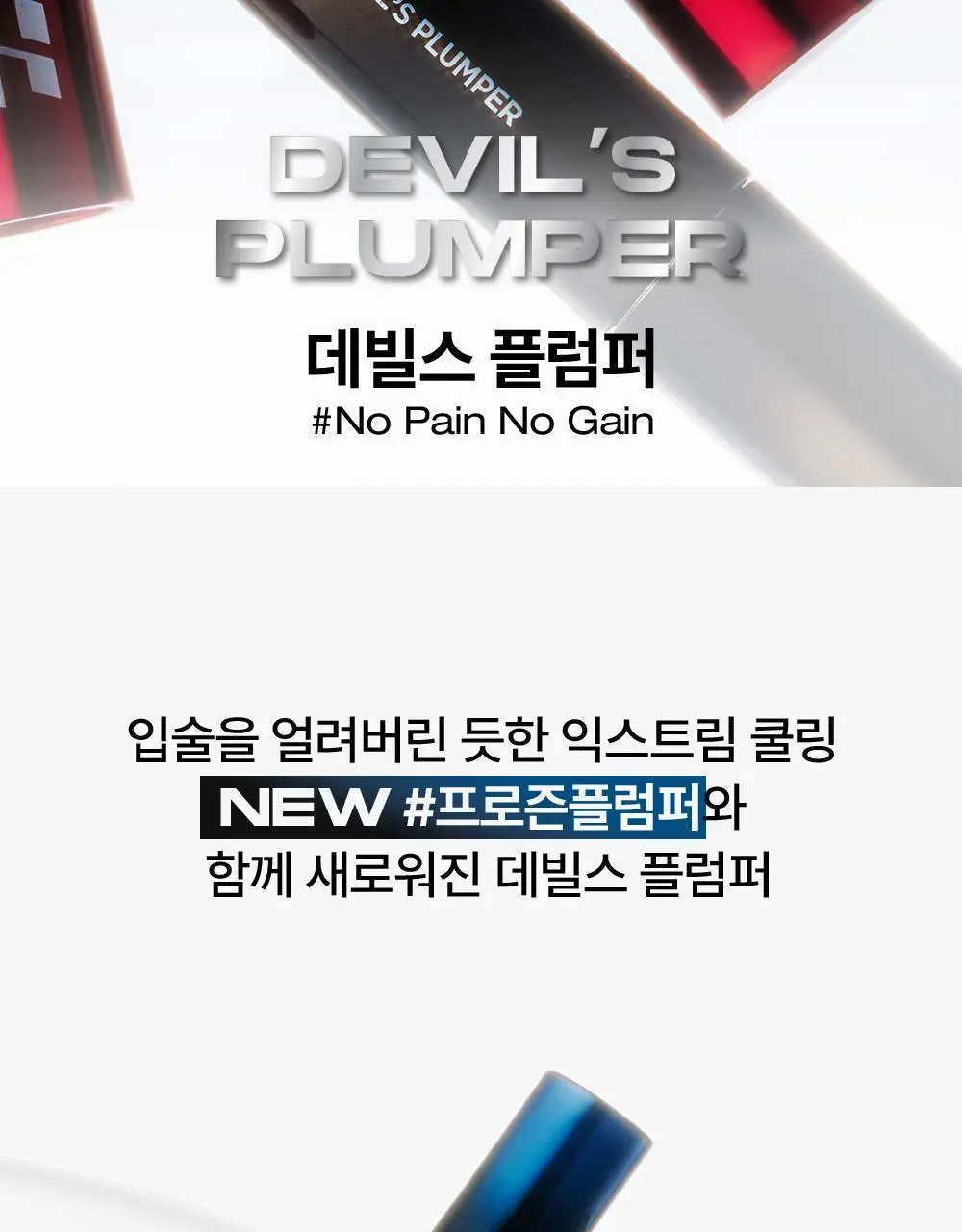 [리뉴얼/NEW] 홀리카홀리카 데빌스 플럼퍼 상세페이지 2